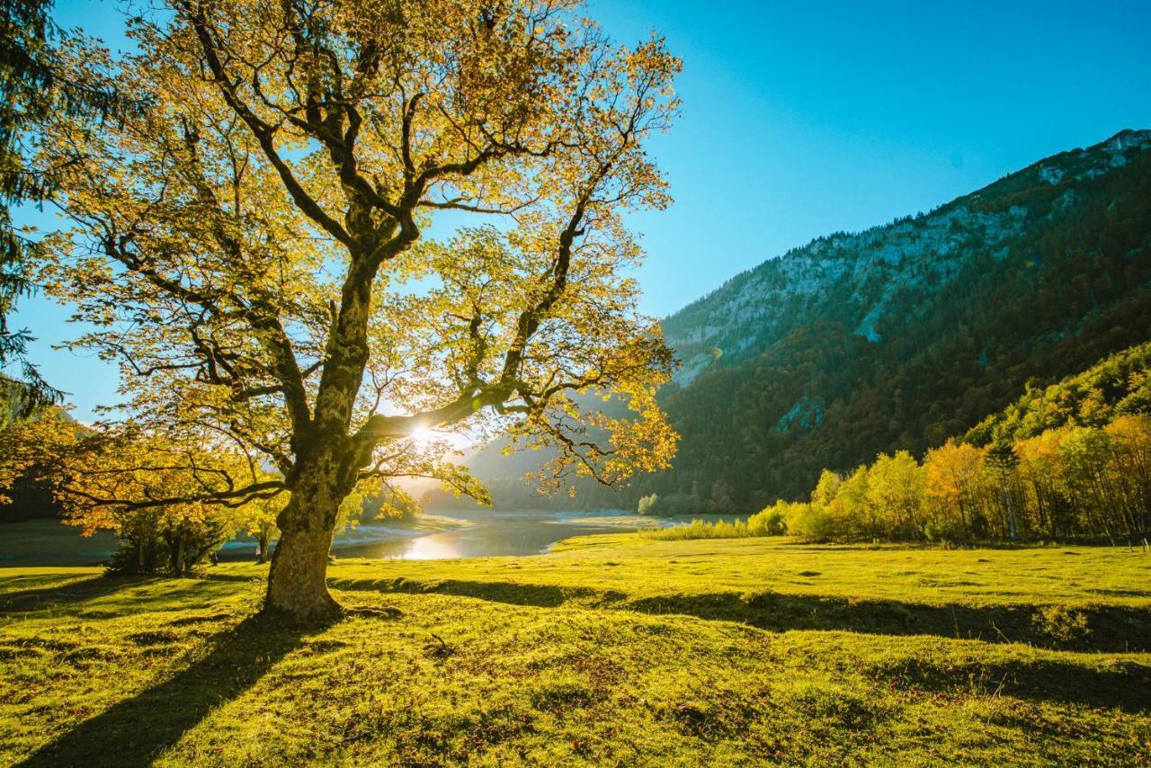 Aja Ruhpolding Hotell Exteriör bild